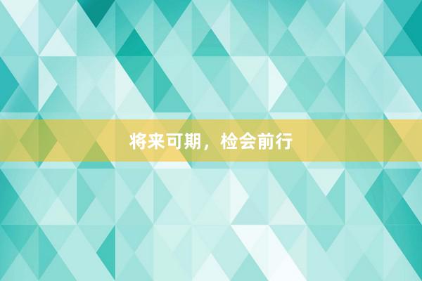 将来可期，检会前行